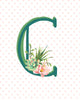 Cactus and Succulent Monogram Art Print