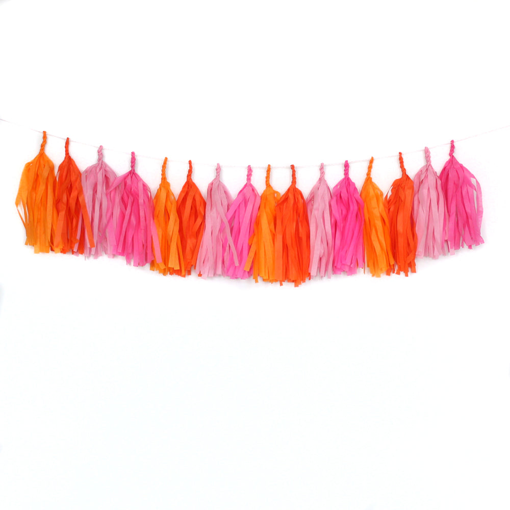 Girls Just Wanna Have Fun Fringe Tissue Tassel Garland Kit or Fully Assembled