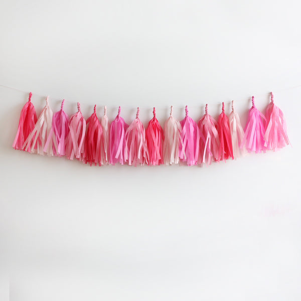 Perfectly Pink Fringe Tassel Garland Kit or Fully Assembled Wants and