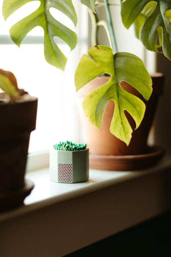 Matcha + Green Concrete Match holder