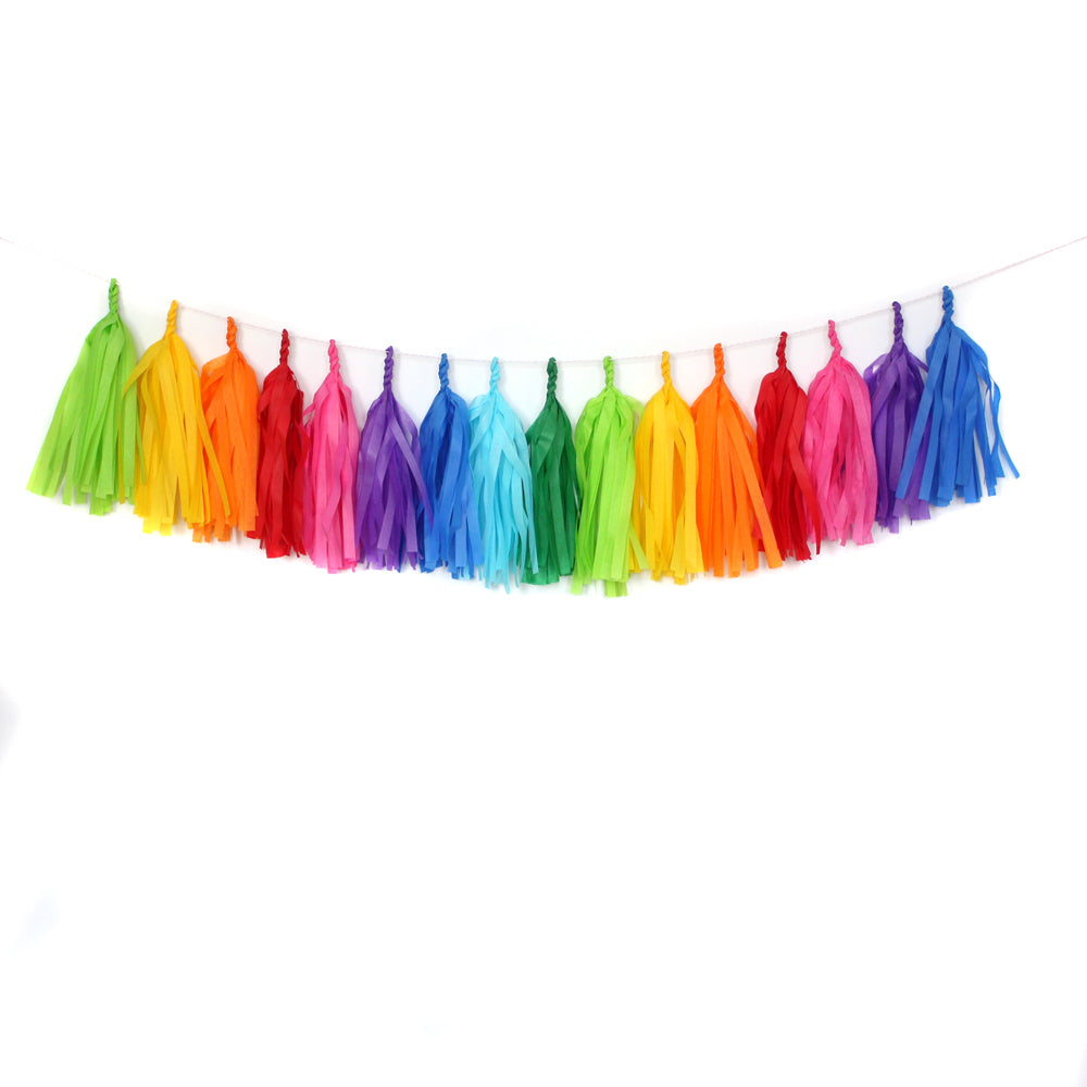 Bright Rainbow Fringe Tassel Garland Kit or Fully Assembled