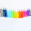 Glitter Sparkles Rainbow Fringe Tassel Garland Kit or Fully Assembled