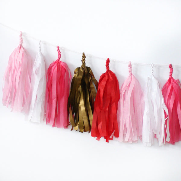 Love is in the Air Fringe Tassel Garland Kit or Fully Assembled