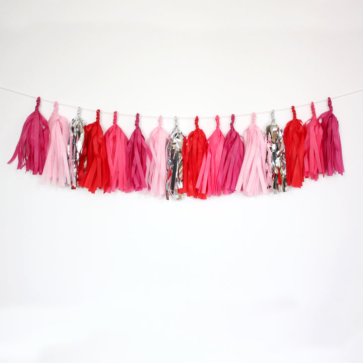 Rose Garden Fringe Tissue Tassel Garland Kit or Fully Assembled