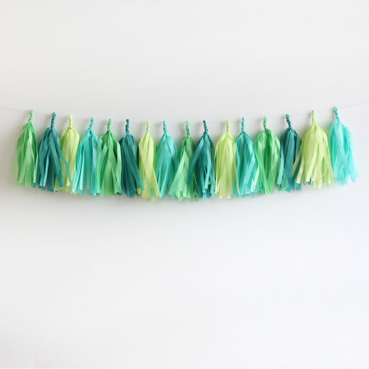 Adventure Fringe Tassel Garland Kit or Fully Assembled