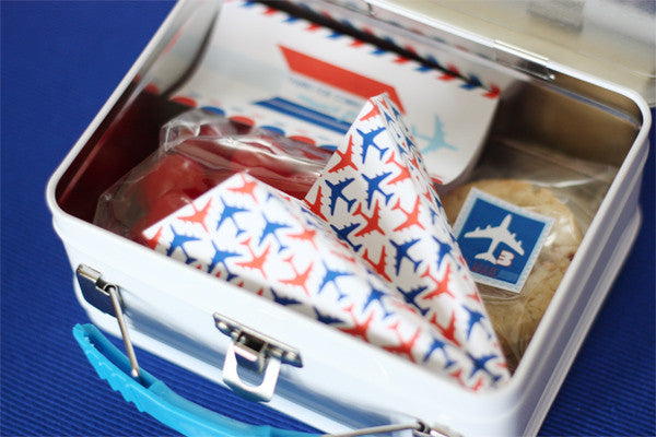 Air Mail Airplane Collection by Wants and Wishes
