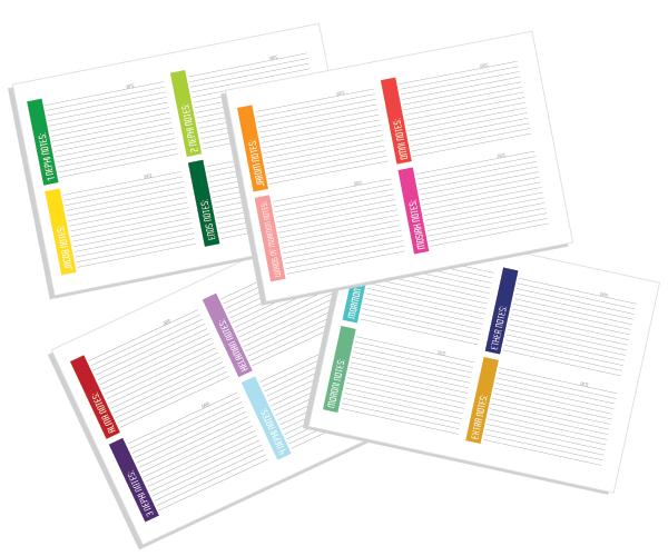 Printable LDS Book of Mormon Reading Chart and Note Cards by Wants and Wishes