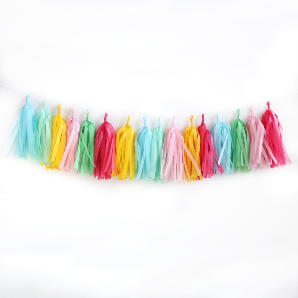 Celebrate Fringe Tissue Tassel Garland Kit – Wants and Wishes
