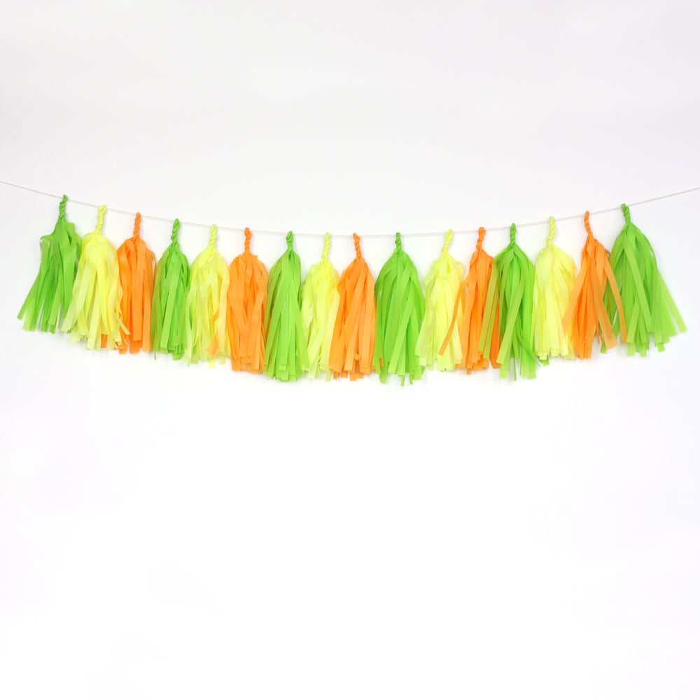 Citrus Tassel Garland Kit or Fully Assembled