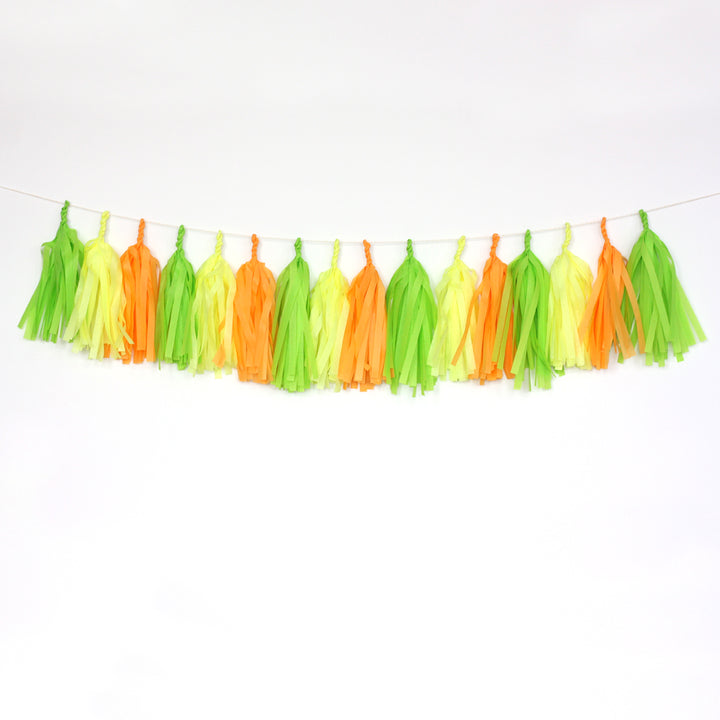 Citrus Tassel Garland Kit or Fully Assembled