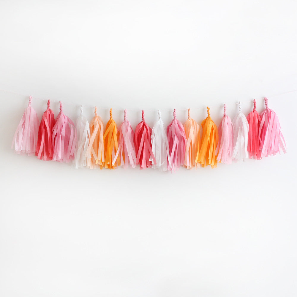 Peaches & Cream Fringe Tassel Garland Kit or Fully Assembled