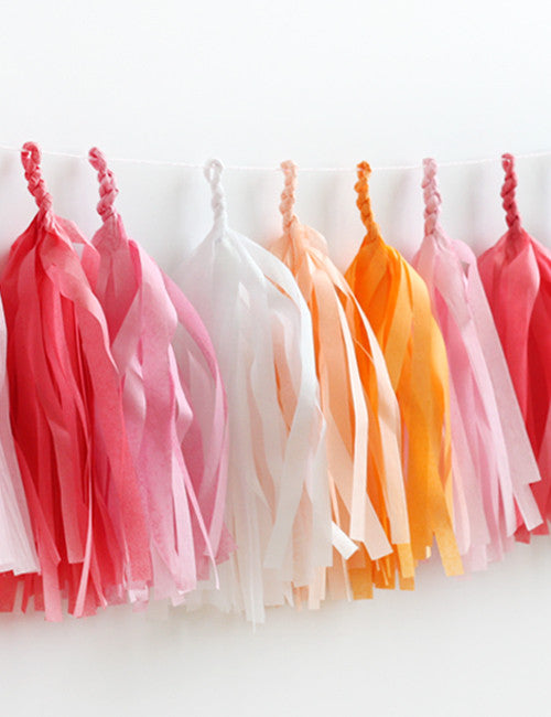 Peaches & Cream Fringe Tassel Garland Kit or Fully Assembled