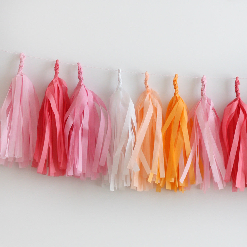 Peaches & Cream Fringe Tassel Garland Kit or Fully Assembled – Wants and  Wishes