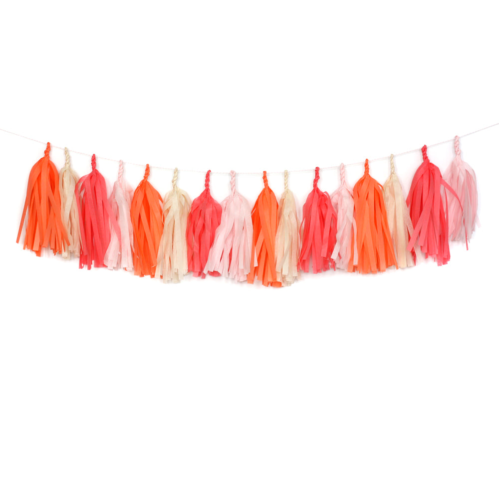 Flamingo Fringe Tissue Tassel Garland Kit or Fully Assembled