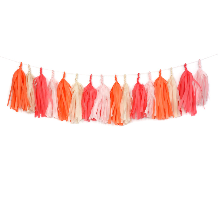 Flamingo Fringe Tissue Tassel Garland Kit or Fully Assembled