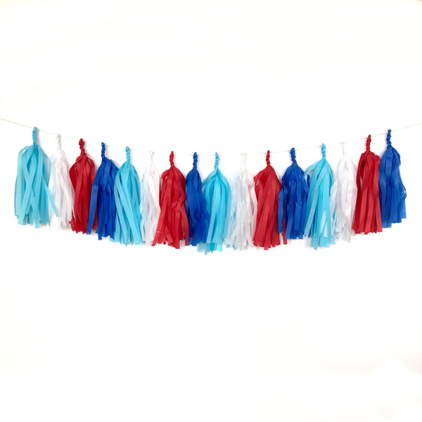 Land that I Love Fringe Tassel Garland Kit or Fully Assembled