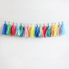 Party Animal Fringe Tassel Garland Kit or Fully Assembled