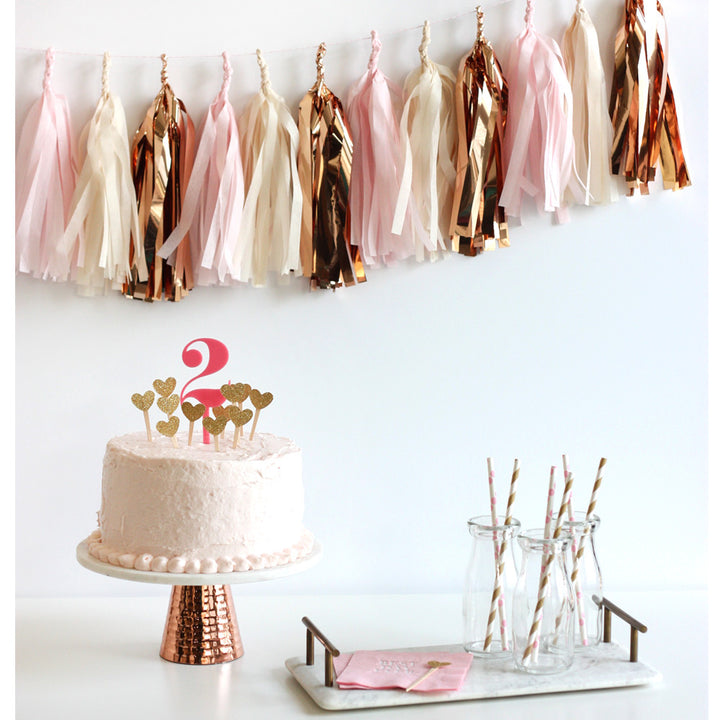 Rose Gold Fringe Tassel Garland Kit