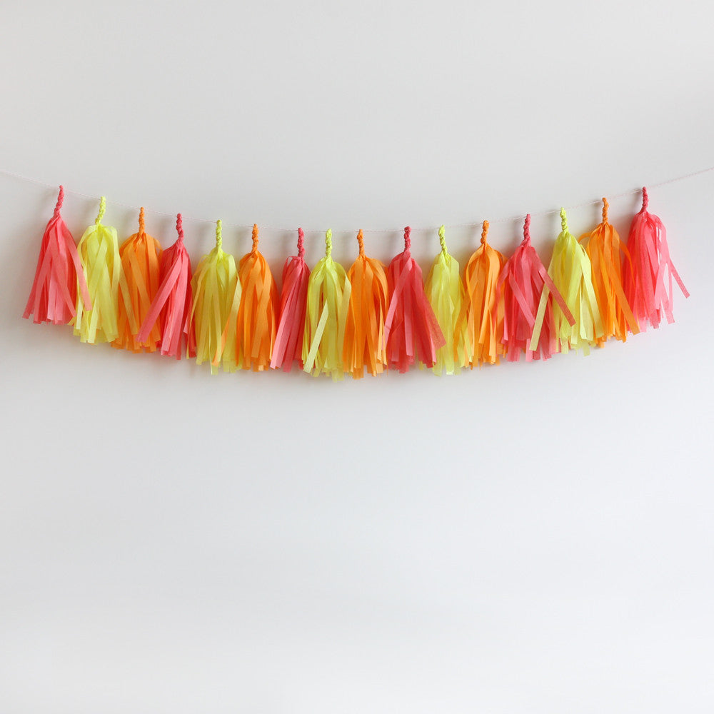 Sherbet Fringe Tassel Garland Kit or Fully Assembled
