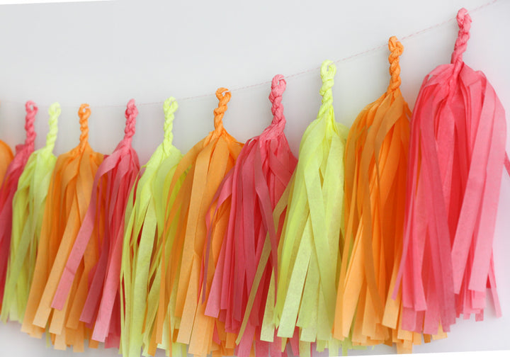 Sherbet Fringe Tassel Garland Kit or Fully Assembled