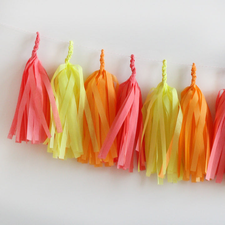 Sherbet Fringe Tassel Garland Kit or Fully Assembled