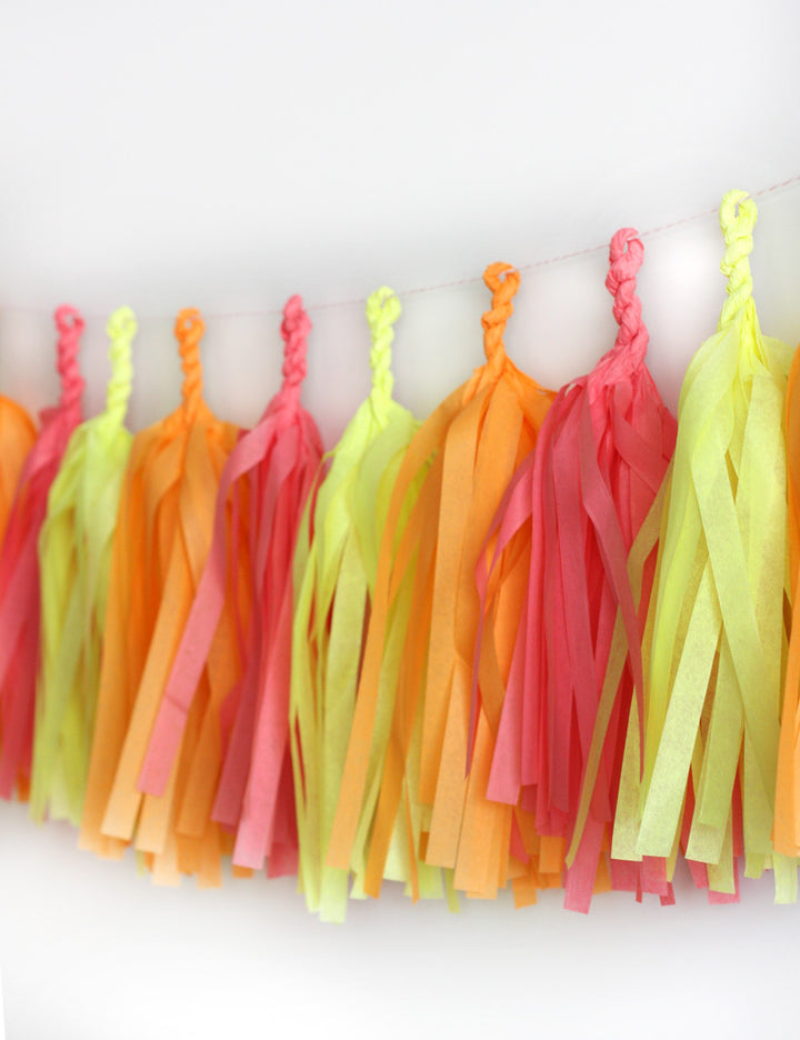 Sherbet Fringe Tassel Garland Kit or Fully Assembled
